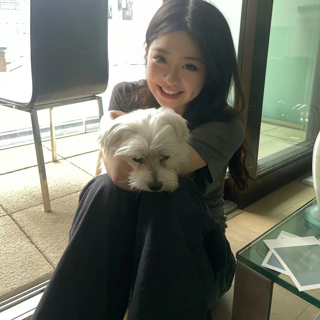 火之鸟772